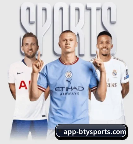 每个板块围绕一个运动项目展开 - 多运动项目内容板块(bsports)