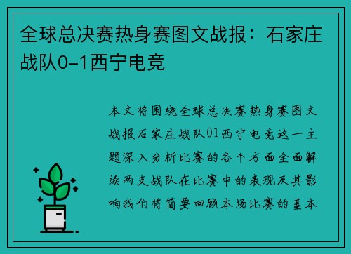全球总决赛热身赛图文战报：石家庄战队0-1西宁电竞