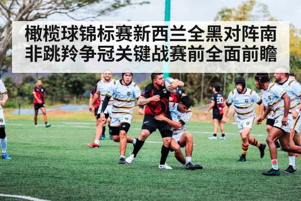橄榄球锦标赛新西兰全黑对阵南非跳羚争冠关键战赛前全面前瞻